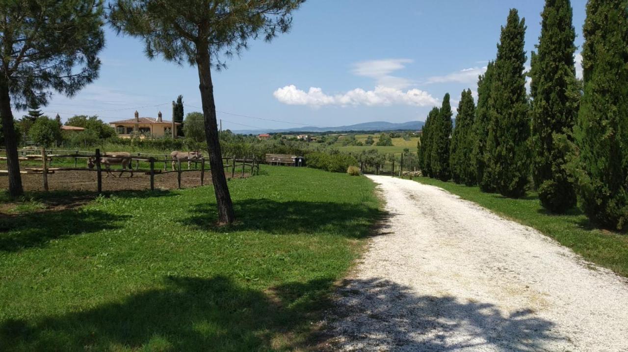 Ceri Agriturismo Casale San Benedetto מראה חיצוני תמונה
